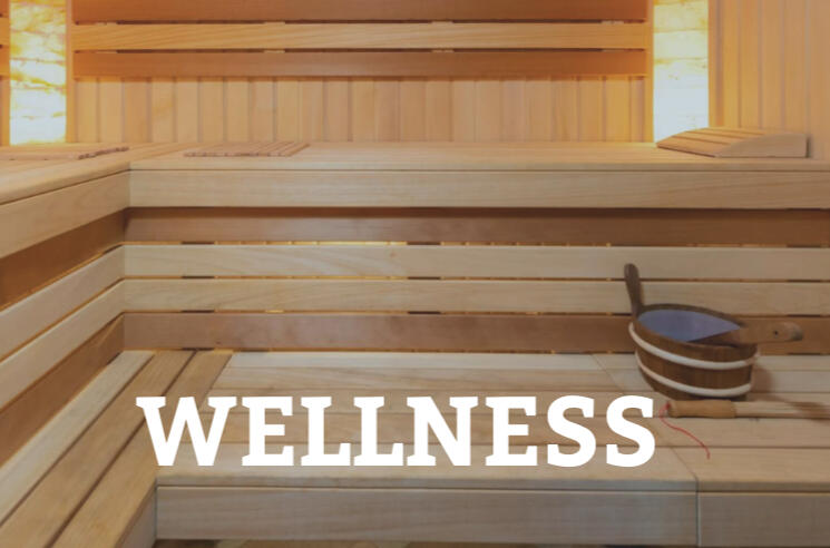 wellness wellness section