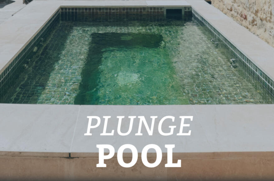 plunge pool plunge pool section